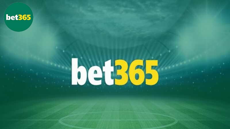 Bet365 đứng đầu thị trường nhờ CEO Tuấn Anh