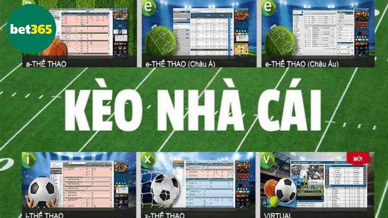 Khám phá loại kèo nhà cái Bet365 phổ biến nhất