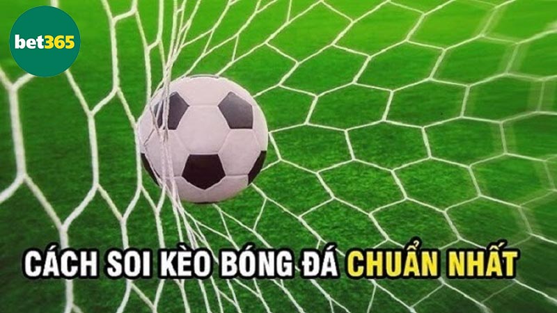 Tham gia kèo bóng đá Bet365 có những lợi ích gì?