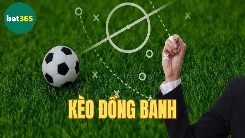 Cách chơi cược đồng banh hiệu quả